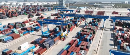 数读外贸“开门红” 新型数字化助力中国产品扬帆出海